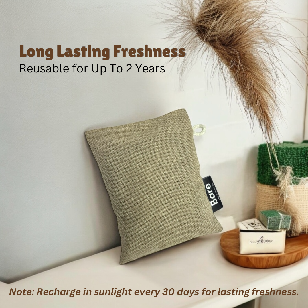 100g Bamboo Charcoal Air Purifier